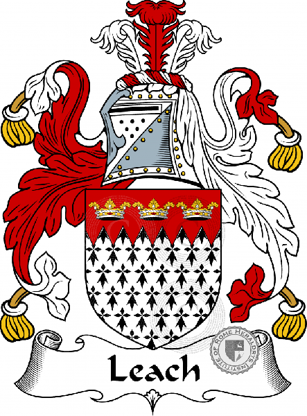 Coat of arms of family Leach, Leech