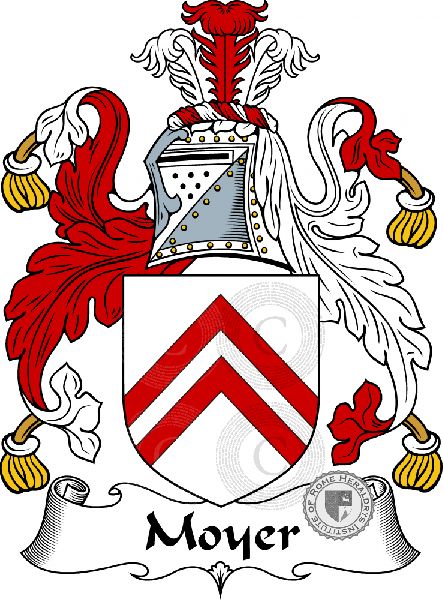 Coat of arms of family Moyer