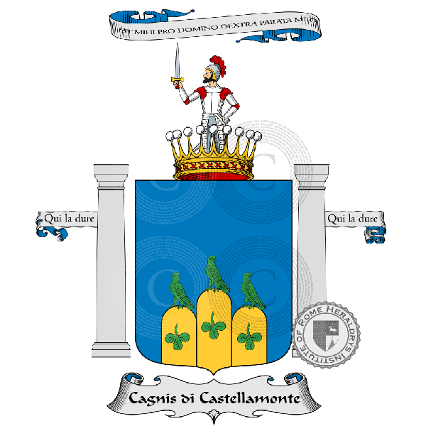 Coat of arms of family Cagnis Di Castellamonte