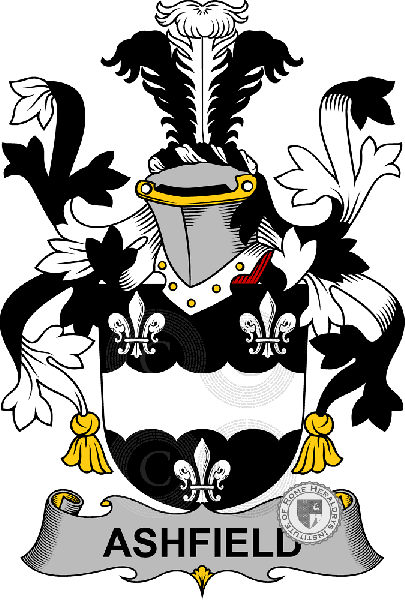 Wappen der Familie Ashfield   ref: 58089