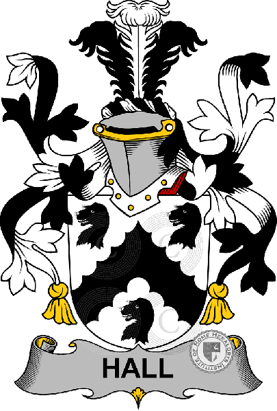 Escudo de la familia Hall, MacHall, MacHall   ref: 58618